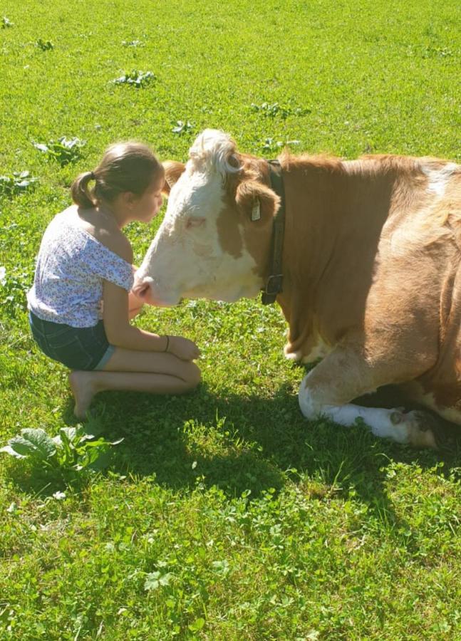 Ferienwohnungen Marchanger Niederau Esterno foto