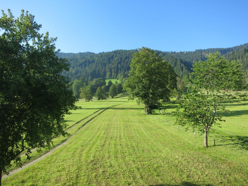 Ferienwohnungen Marchanger Niederau Esterno foto