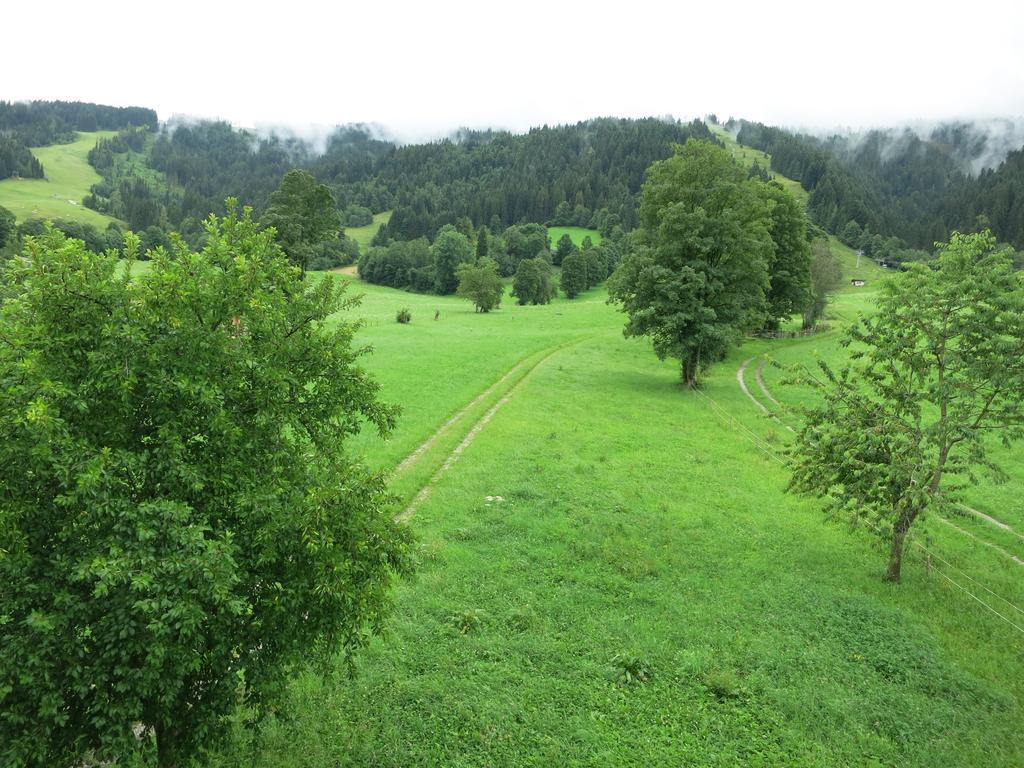 Ferienwohnungen Marchanger Niederau Camera foto